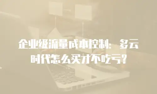 企业级流量成本控制：多云时代怎么买才不吃亏？