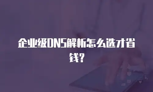 企业级DNS解析怎么选才省钱？