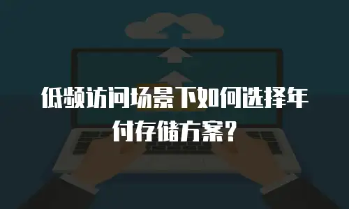 低频访问场景下如何选择年付存储方案？