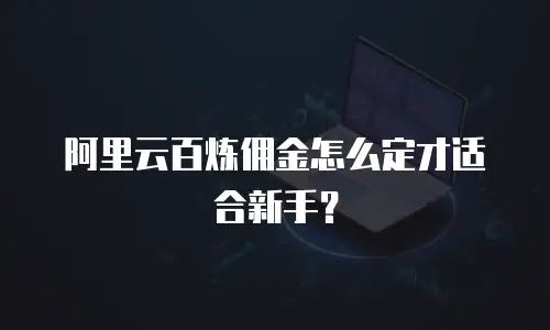 阿里云百炼佣金怎么定才适合新手？