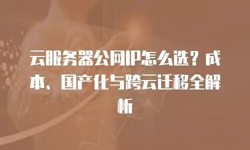 云服务器公网IP怎么选？成本、国产化与跨云迁移全解析