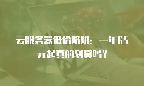云服务器低价陷阱：一年65元起真的划算吗？