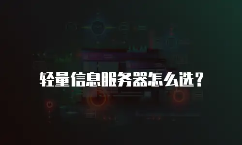 轻量信息服务器怎么选？