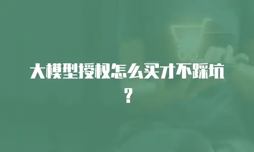 大模型授权怎么买才不踩坑？