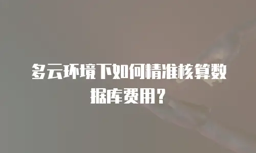 多云环境下如何精准核算数据库费用？