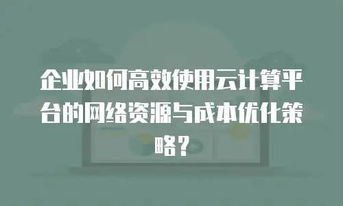 企业如何高效使用云计算平台的网络资源与成本优化策略？
