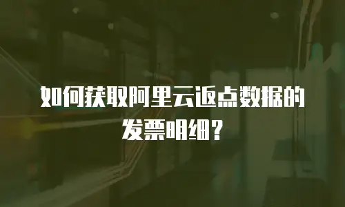 如何获取阿里云返点数据的发票明细？