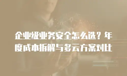 企业级业务安全怎么选？年度成本拆解与多云方案对比