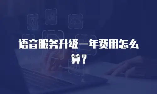 语音服务升级一年费用怎么算？