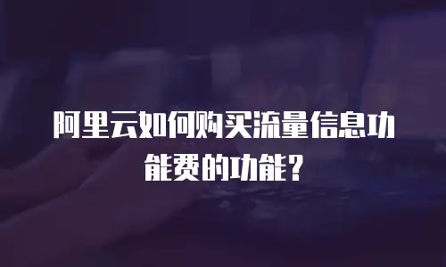 阿里云如何购买流量信息功能费的功能？