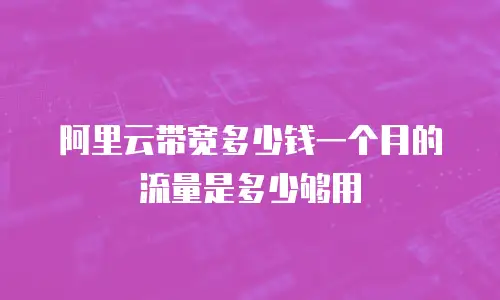 阿里云带宽多少钱一个月的流量是多少够用