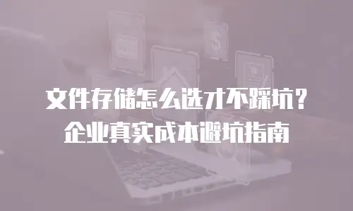 文件存储怎么选才不踩坑？企业真实成本避坑指南