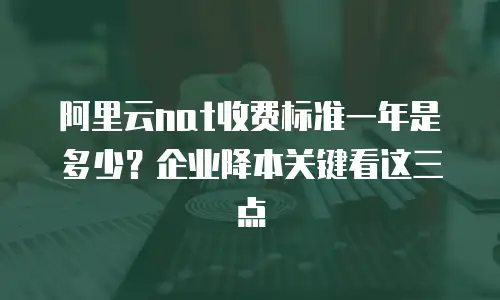 阿里云nat收费标准一年是多少？企业降本关键看这三点