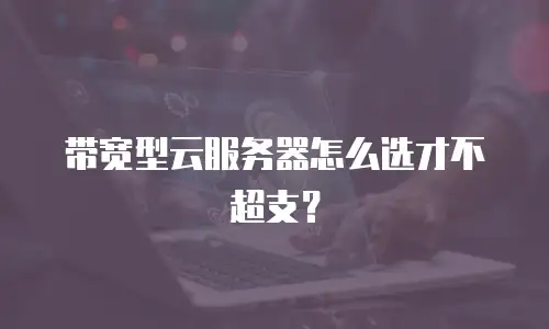 带宽型云服务器怎么选才不超支？