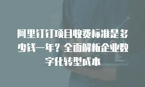 阿里钉钉项目收费标准是多少钱一年？全面解析企业数字化转型成本
