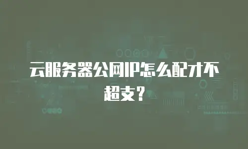 云服务器公网IP怎么配才不超支？