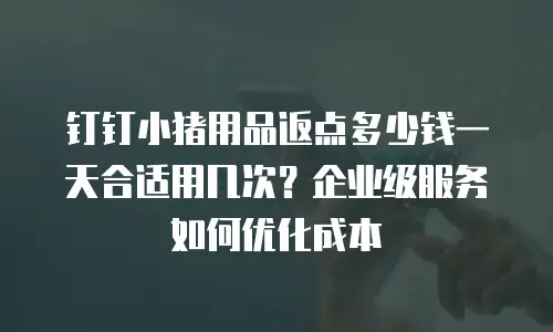 钉钉小猪用品返点多少钱一天合适用几次？企业级服务如何优化成本