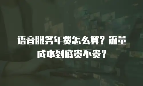 语音服务年费怎么算？流量成本到底贵不贵？