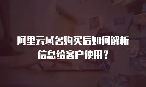 阿里云域名购买后如何解析信息给客户使用？
