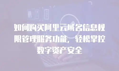 如何购买阿里云域名信息权限管理服务功能，轻松掌控数字资产安全