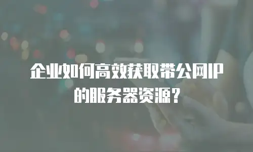 企业如何高效获取带公网IP的服务器资源？