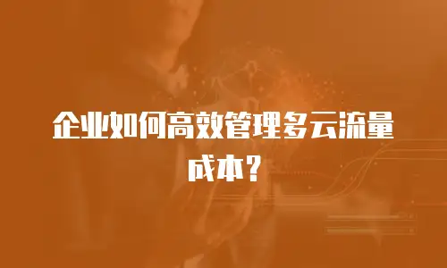 企业如何高效管理多云流量成本？