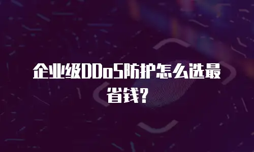 企业级DDoS防护怎么选最省钱？