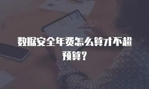 数据安全年费怎么算才不超预算？