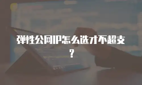 弹性公网IP怎么选才不超支？