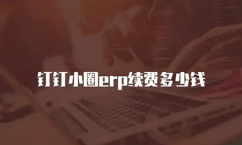 钉钉小圈erp续费多少钱