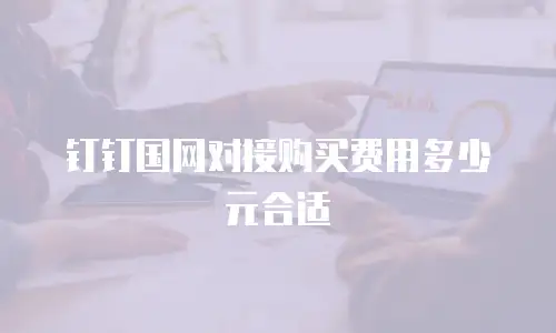 钉钉国网对接购买费用多少元合适