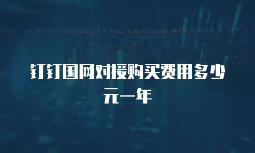 钉钉国网对接购买费用多少元一年