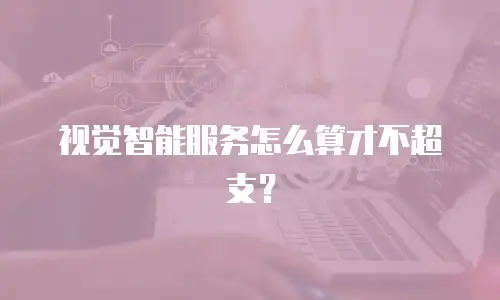 视觉智能服务怎么算才不超支？