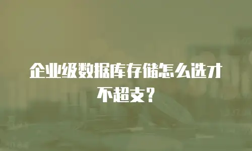企业级数据库存储怎么选才不超支？