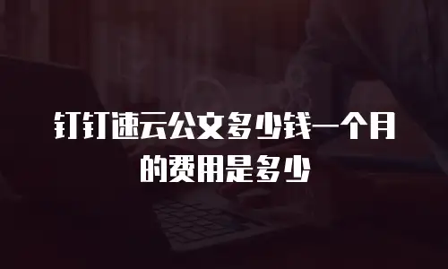 钉钉速云公文多少钱一个月的费用是多少