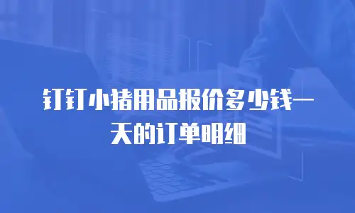 钉钉小猪用品报价多少钱一天的订单明细