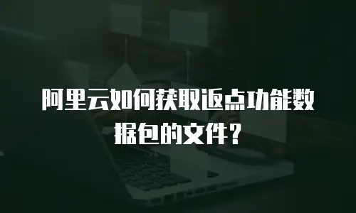 阿里云如何获取返点功能数据包的文件？