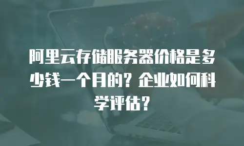 阿里云存储服务器价格是多少钱一个月的？企业如何科学评估？