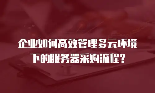 企业如何高效管理多云环境下的服务器采购流程？