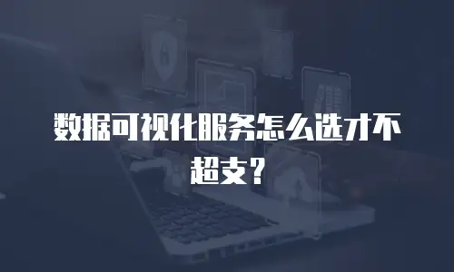数据可视化服务怎么选才不超支？