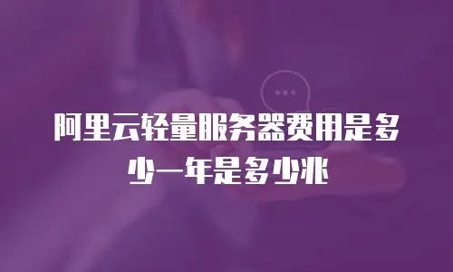 阿里云轻量服务器费用是多少一年是多少兆
