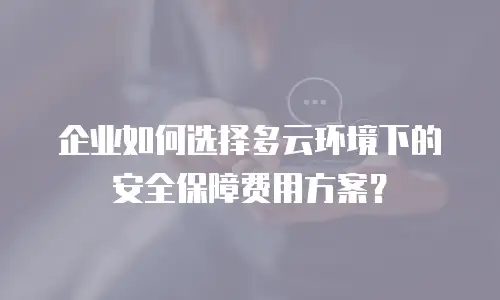 企业如何选择多云环境下的安全保障费用方案？