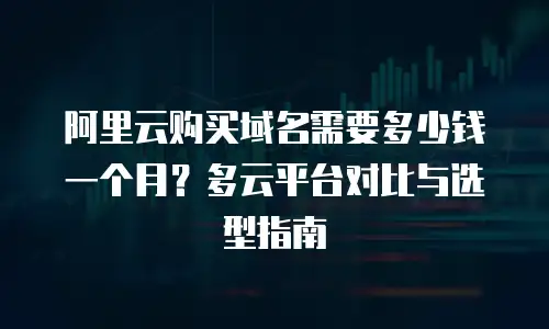 阿里云购买域名需要多少钱一个月？多云平台对比与选型指南