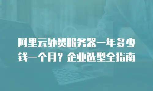 阿里云外贸服务器一年多少钱一个月？企业选型全指南