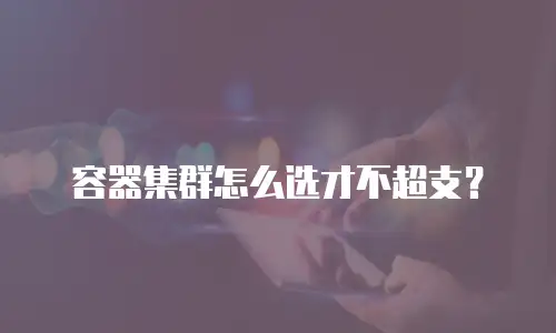 容器集群怎么选才不超支？