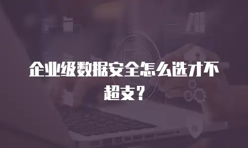 企业级数据安全怎么选才不超支？