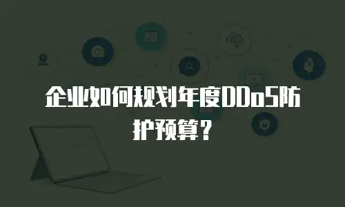 企业如何规划年度DDoS防护预算？