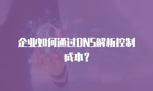 企业如何通过DNS解析控制成本？