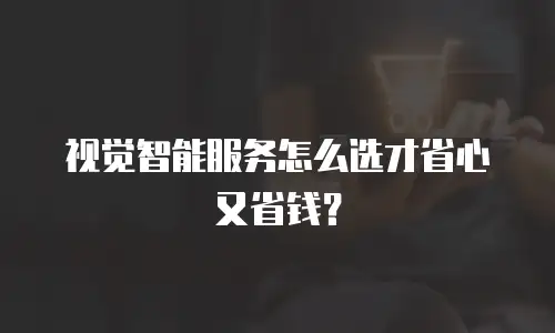 视觉智能服务怎么选才省心又省钱？