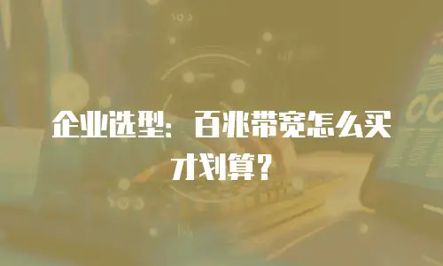 企业选型：百兆带宽怎么买才划算？